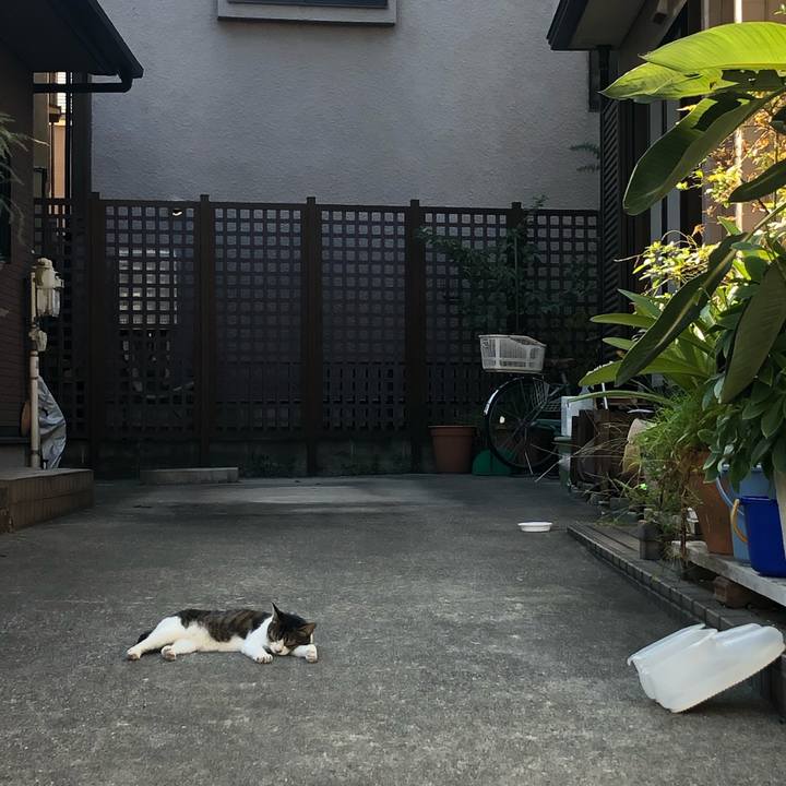 29fa61a8 ac80 4d30 8c7c 956167216878 1568317494740