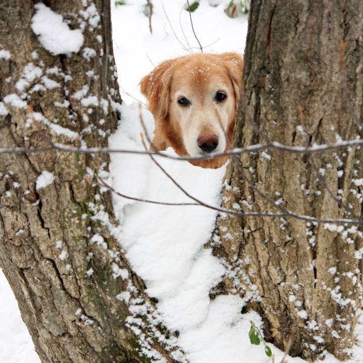 29fa6a1e f888 4f57 9e08 7570e25d8912 1765269842852