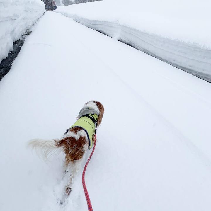 29fa805d d8cc 4d89 92dd 8d64a5005786 1614120507930