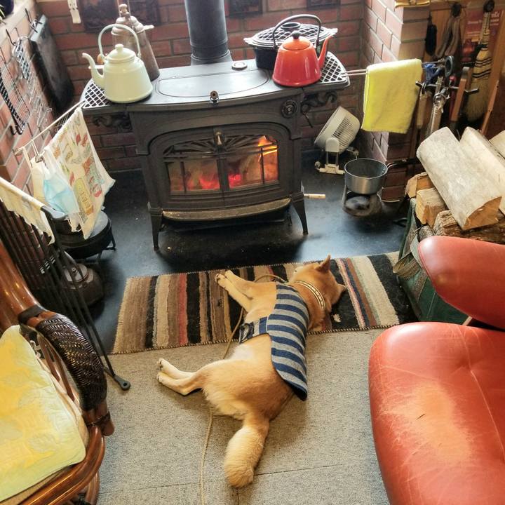 29fa8548 c07d 48b0 838c fceaabdea571 1613607186045