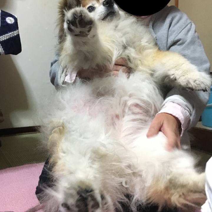 29faa84b f6ea 43fc 88f6 af9616ad605f 1651500240147