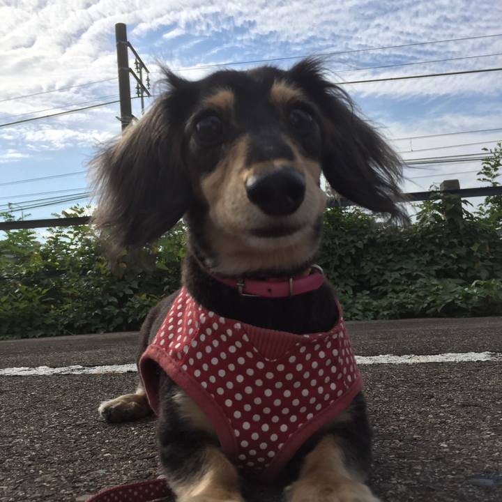 29fab921 4813 4a4f ae82 d6f570c474e2 1539130965951