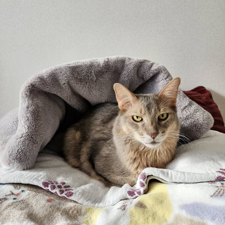 29fabd71 cba5 40c0 824c fa04026bd4cb 1702876568211