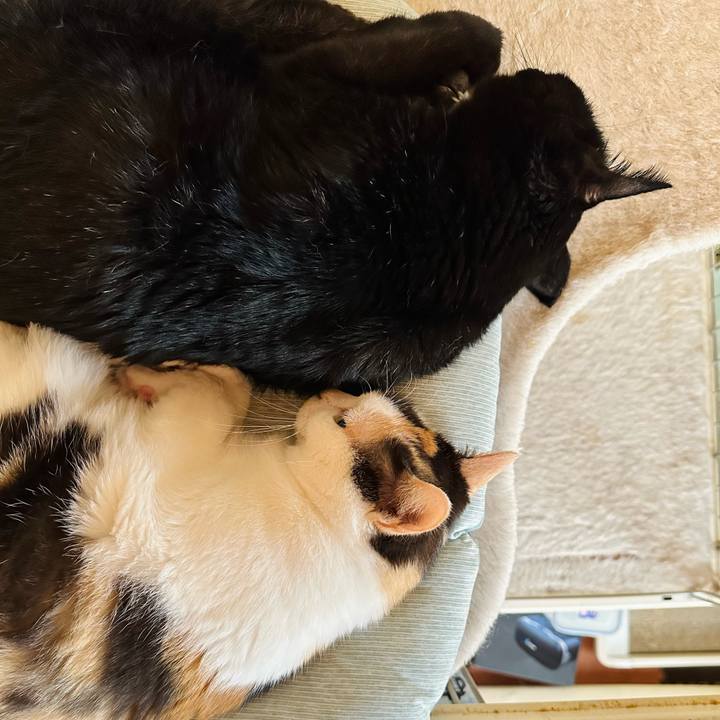 29fb0d1d aef4 4262 ae68 c87ff8c2cfb6 1694137978436