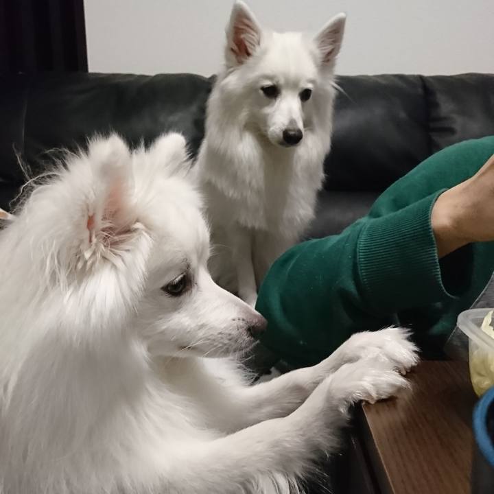 29fb2267 fb50 4963 8970 e8b1cc3a485b 1581426687966