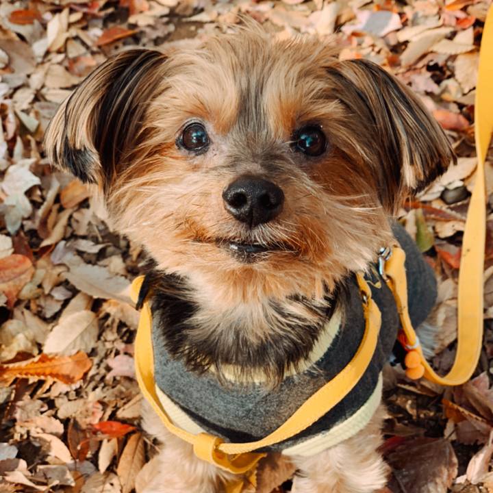 29fb508d a066 4675 abad d676b0067475 1605316432793