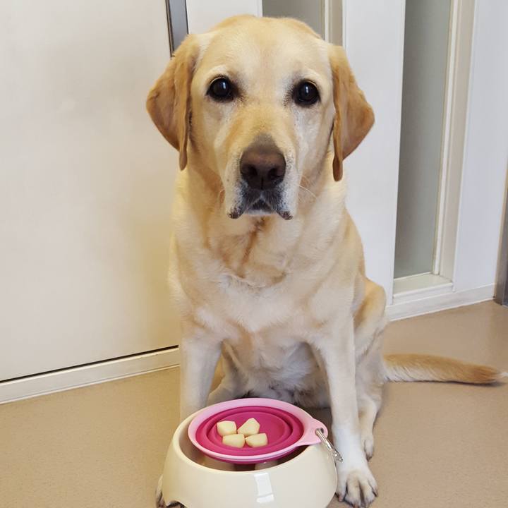 29fbb7b8 f788 4ba7 9006 2a04a9279783 1591578407646