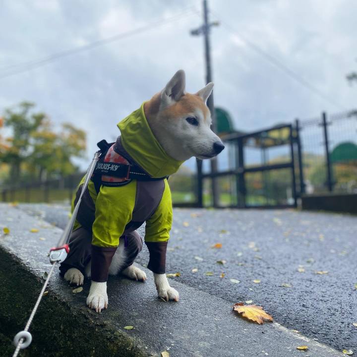 29fbbe3a 61b0 411a 8159 67c63fe42d43 1697677427222