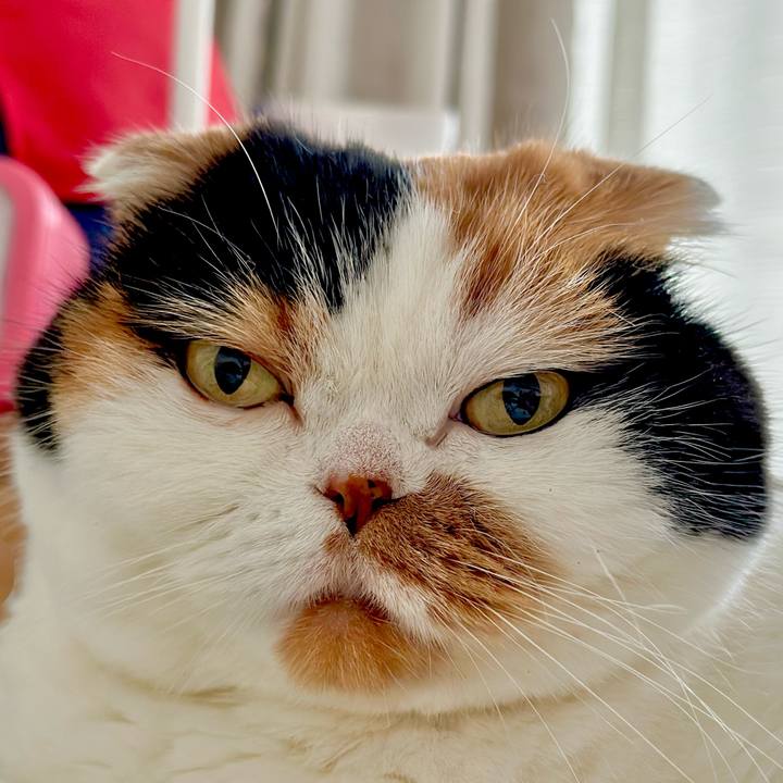 29fbce3a 69a8 4551 9489 5197c728478d 1701903097773