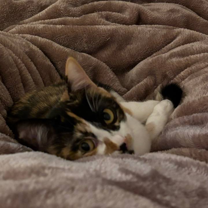 29fbe8ef fb8f 49ab be82 5234bac6ff70 1769589741369