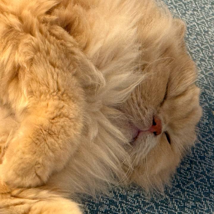 29fc03af 635d 40a0 90af bff6477ef018 1767620050242