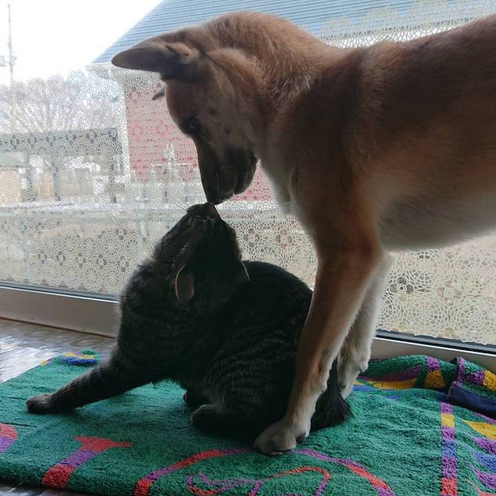 29fc43d6 8a9c 4c67 b95c 0d09ed57b9ff 1584247283634