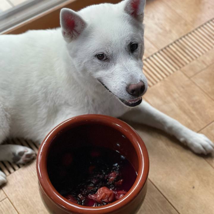 29fc4428 f5c5 4c98 b4e8 0cbbd36c1f87 1656028024942