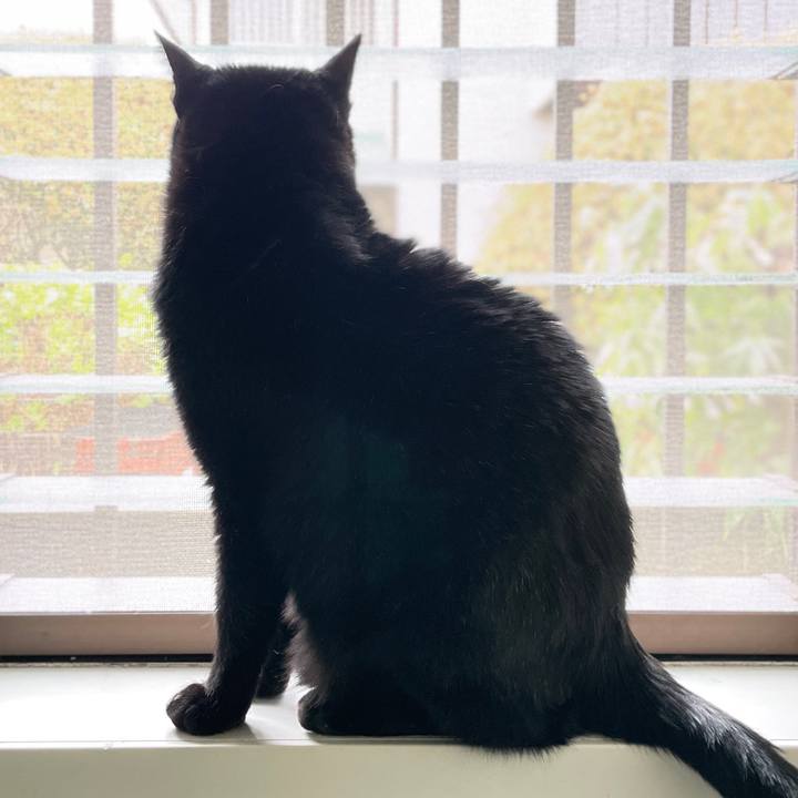 29fc71f3 af9b 427d 9122 645e8f4a0e45 1616982096891