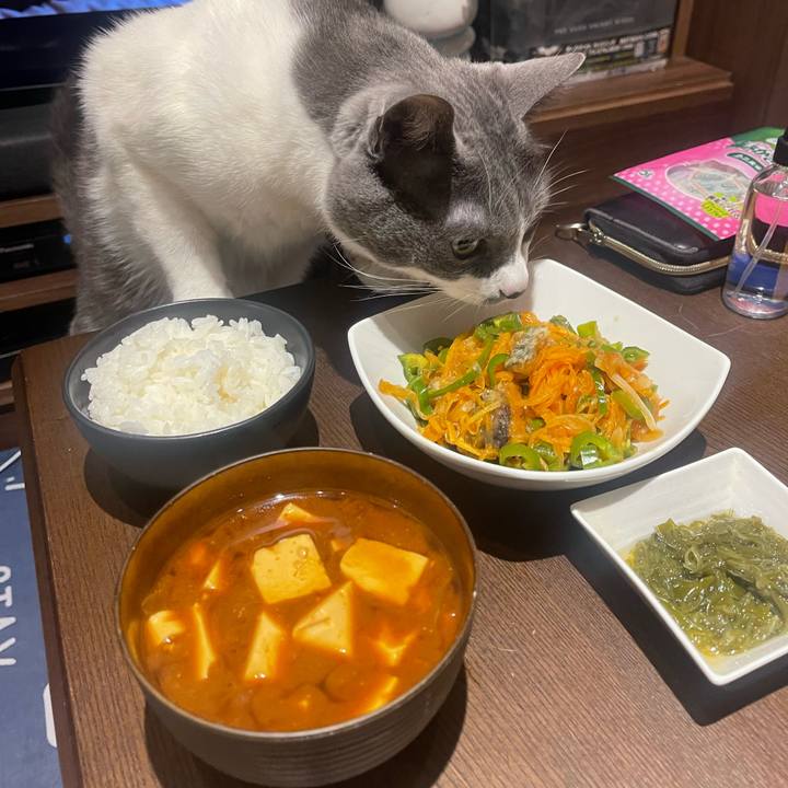 29fcbfe1 ef6a 4836 994e 1682e6ed9b57 1715506970272