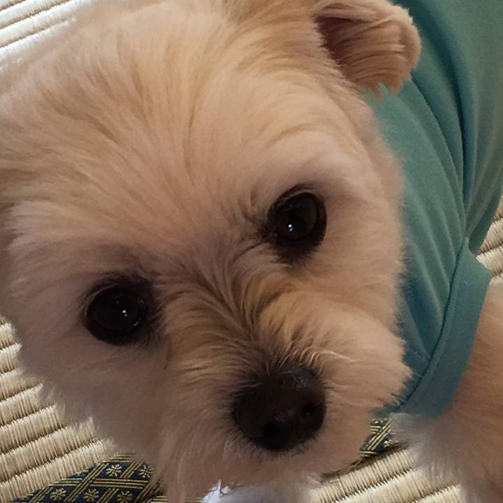 29fceddd 1269 4510 9f70 e49a873250c7 1553955279333