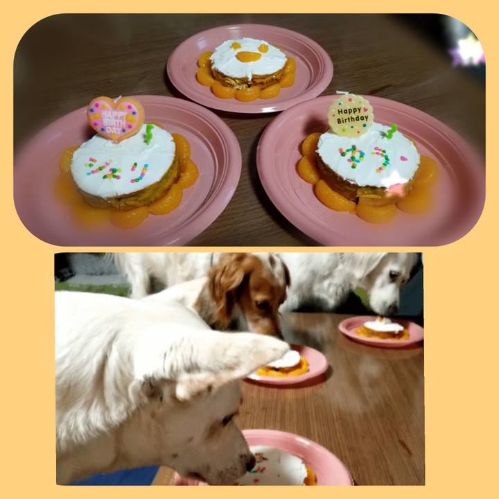 29fd1323 8f1a 4774 a80e 7dd477047bf0 1646662000285