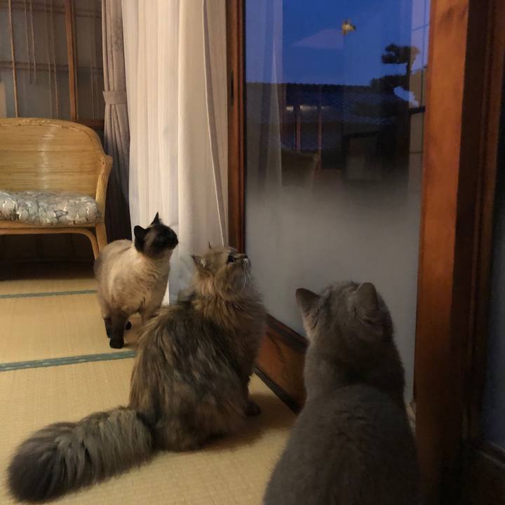 29fd1e90 457b 41fb abd3 4889cbef537d 1625395528904