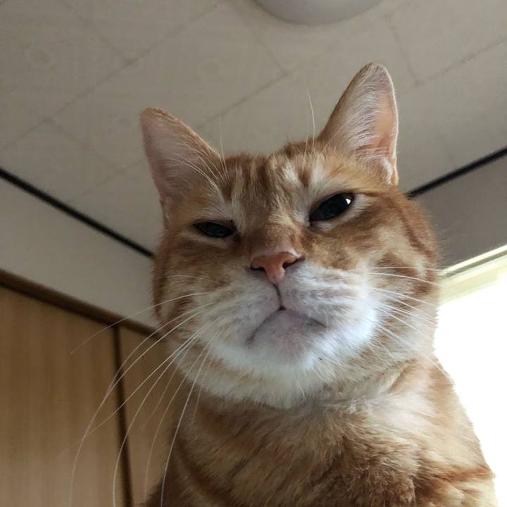 29fd68c7 00b1 4691 886d 3d7592bf1440 1594522440219