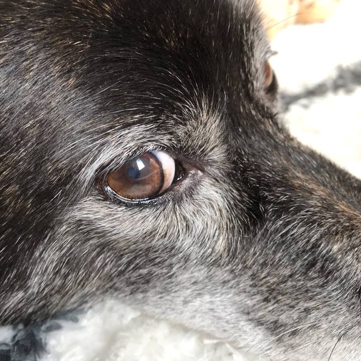 29fdc258 bc79 4a7e b17c ec8158c3fe9a 1582551788385