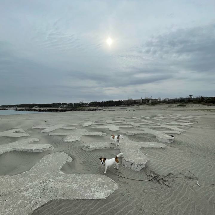 29fddf6c 6014 49b9 b065 873b9bbe24ff 1681516073284