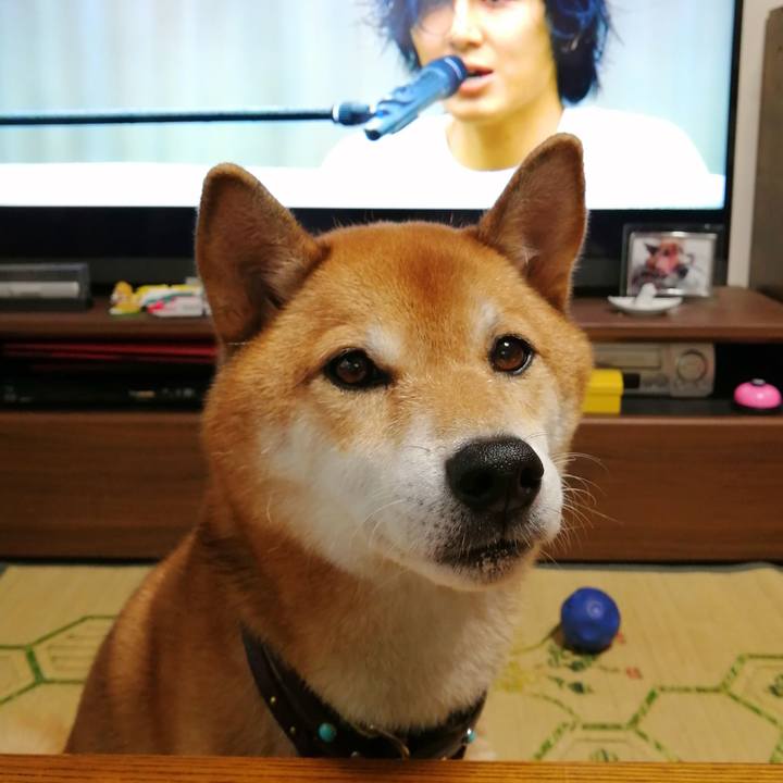 29fe4f8e 248b 472e 9f4d 1e4aa0a4c334 1630736573381