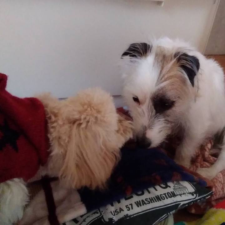 29fe6d93 fe84 49d3 92b0 5ee537c7bb24 1549703072197