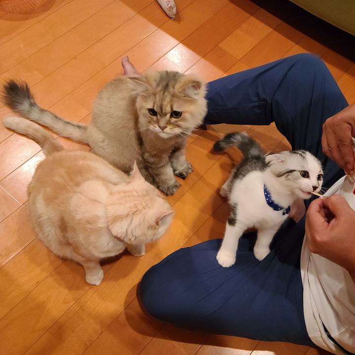 29fef059 b107 45d3 804f 6997aa41aebb 1627127594128