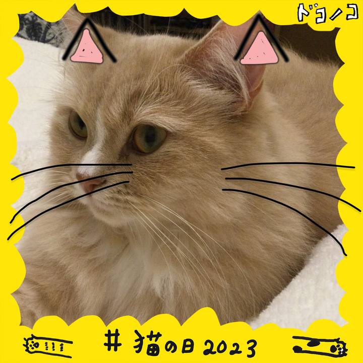 29ff0281 1c77 4e91 b03c 75b5d0760855 1677039217404