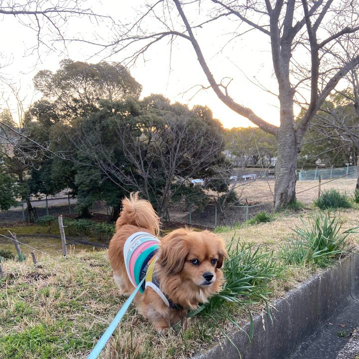 29ff088e d8aa 4f3f 9af5 3e27b79dbad9 1614721834337