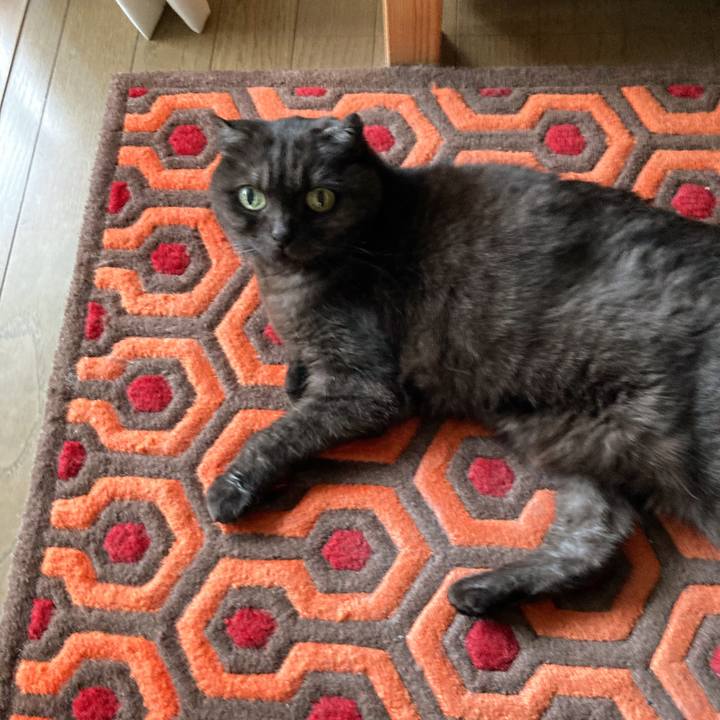 29ff0fc3 5d9e 4a6d a79f 02fddfb01b19 1590915948352