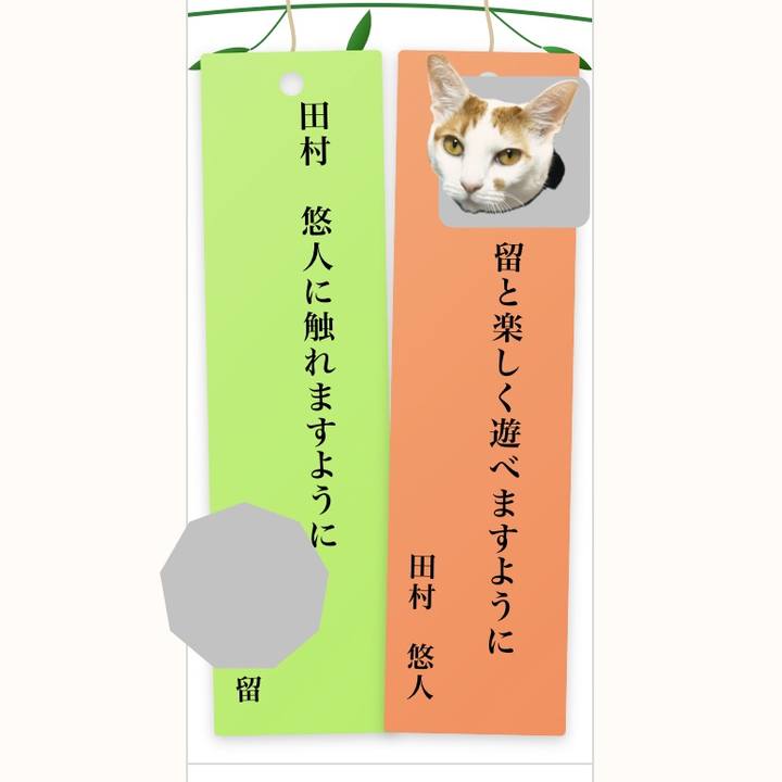 29ff4ca6 8313 4a7d 8aee 15b3019ca8fe 1783440425333