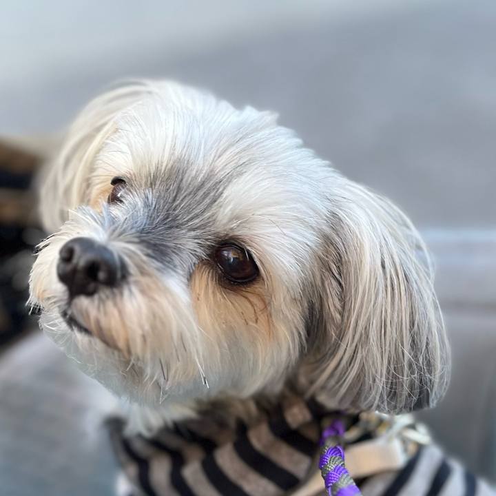 29ff6707 70fa 4a83 8b4c 5adaf4b13736 1765368295072