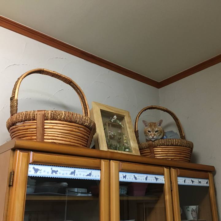 29ff6b67 2fbf 4bef 988c 8860acae6c17 1528713604773