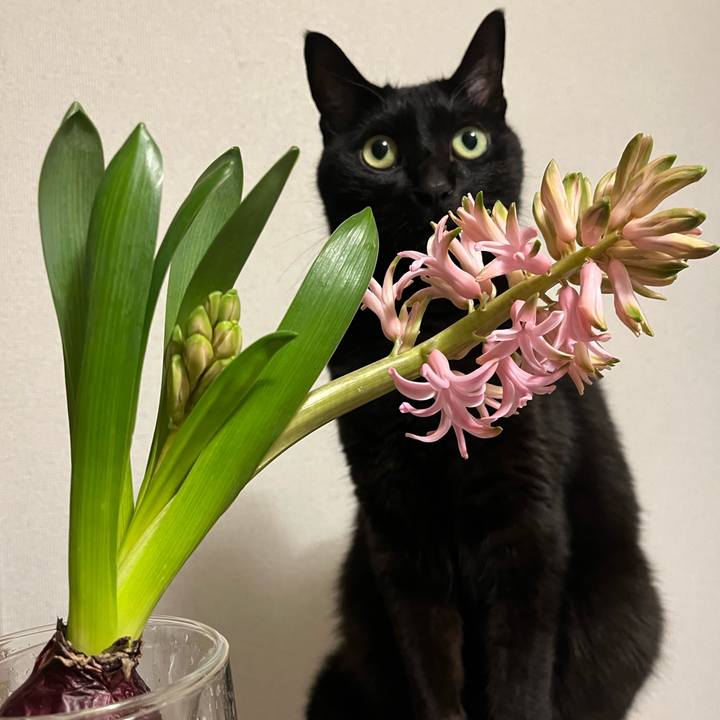 29ff79cb 1a7e 45b2 bb8b 8406302b4e83 1708474244388