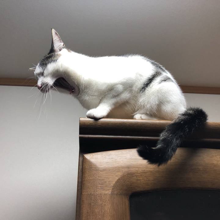 29ff8ea6 6ada 406b a68f bea23966972c 1621252138172