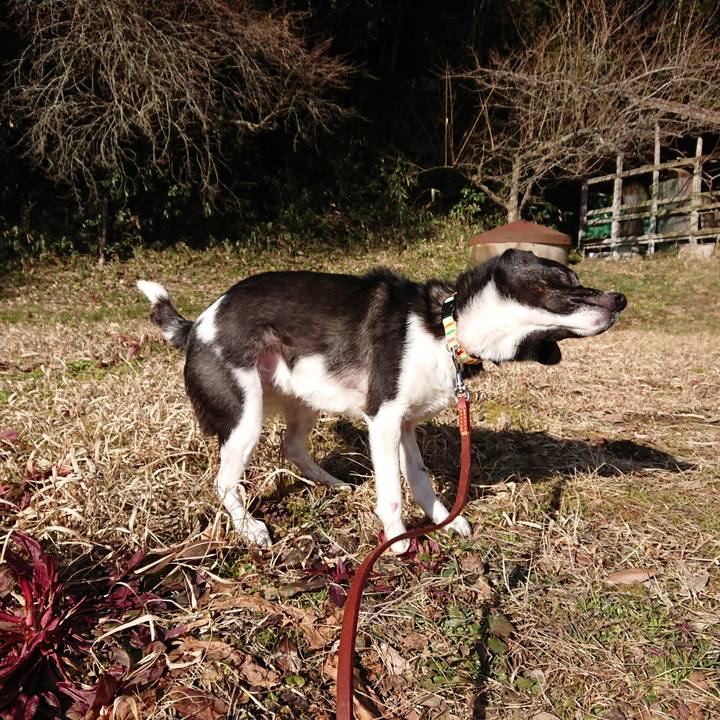 29ff95b7 4504 4214 9635 6a7163c0f176 1518498491186