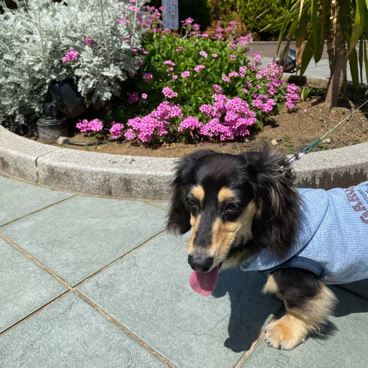 29ff9b8a c0c6 41cd be4b 9b4d59c72666 1683250032705