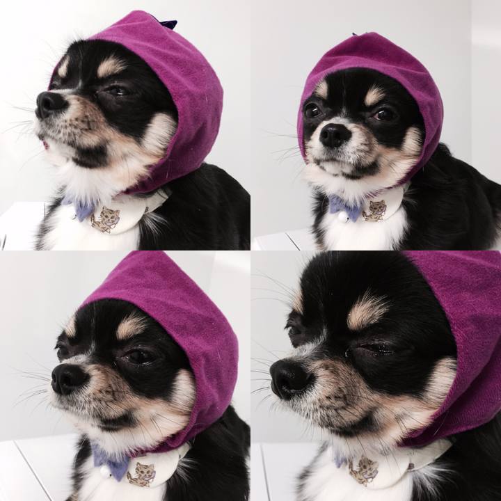 29ffab82 3a00 49a7 8681 1a367be9dcc7 1520593361245