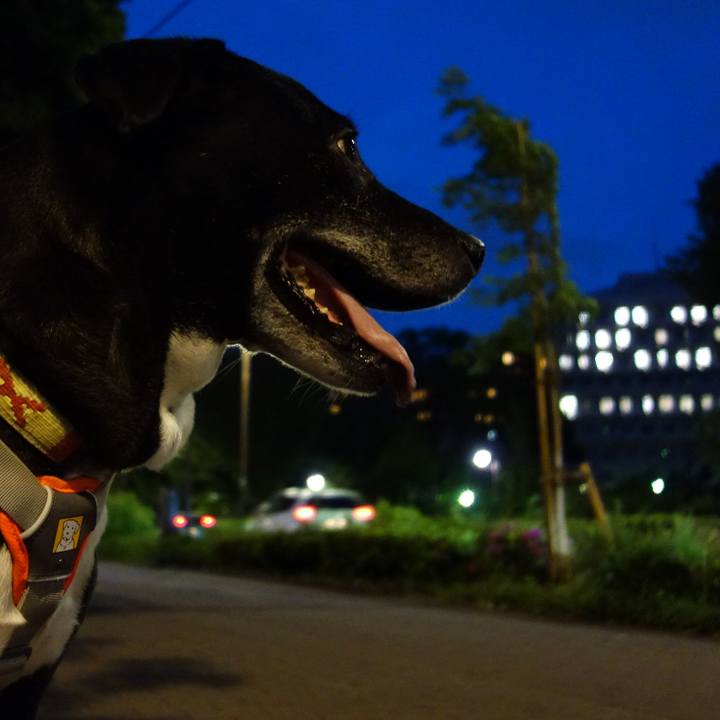 29ffc59e 3819 471d bb97 0cf91822d024 1714992486089