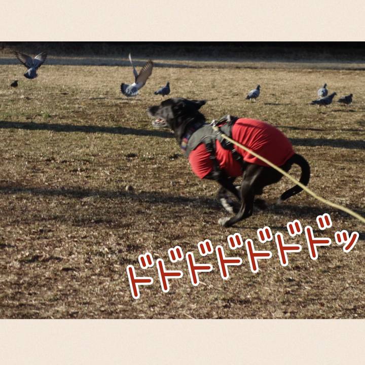 29ffe1c9 2f77 4e97 bb06 a9cc97b93e98 1646010719024