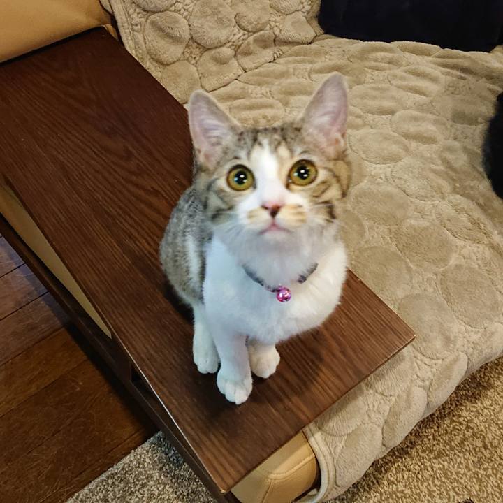 2a0038e6 ff87 4ea7 9e15 497bdff7f90b 1549495607035