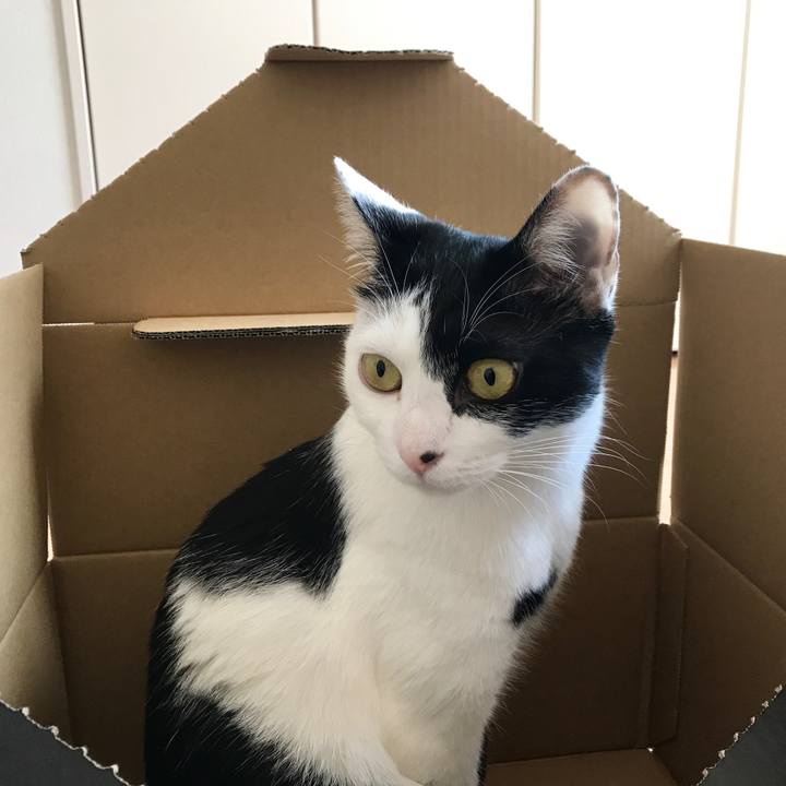 2a008532 a109 4976 9867 1d426dba9df8 1524270736399