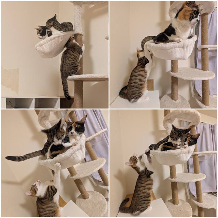 2a00ac9d 77b7 4fe8 9ee8 59b7a32d7fe9 1739270910467