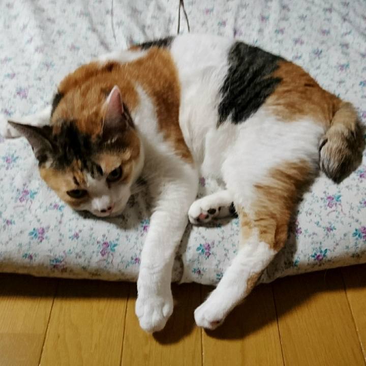 2a00d548 58b8 49a6 9549 3c1701c9e2e9 1525001620737