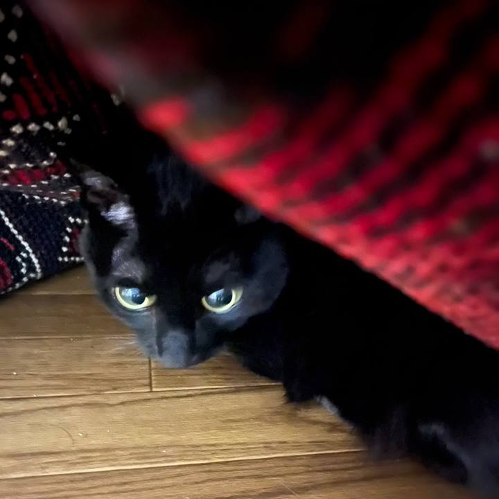 2a00ef5f 6278 49f9 81cc ce4961047f3c 1684191958261