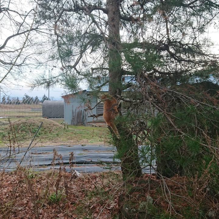 2a012a3a 5c81 4a2c a6aa 0318deef979a 1576910251395