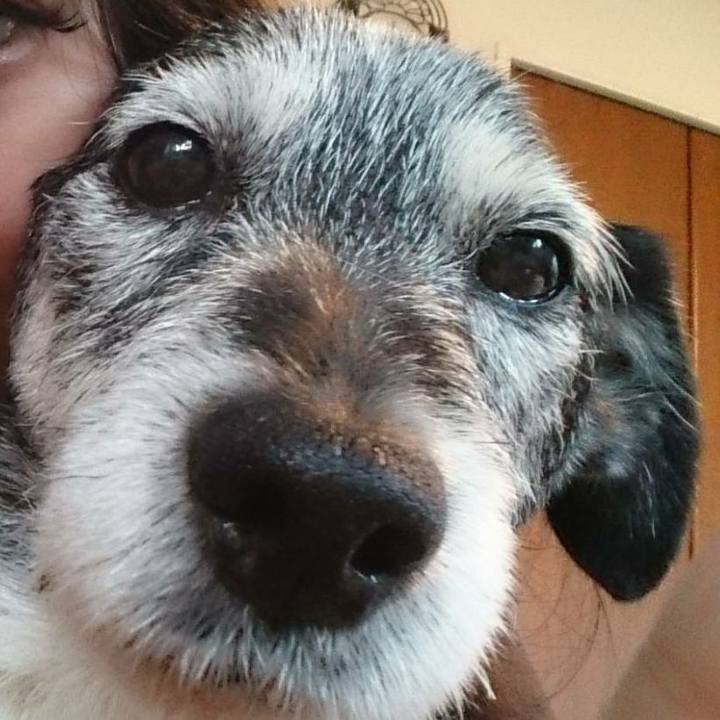 2a01650d 47e1 4850 be15 52c3eae610b7 1523583288255