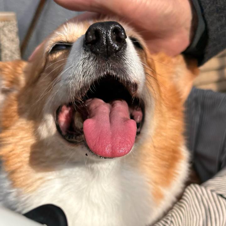 2a016ee8 26d6 46f5 b645 c86607ba6466 1733027624624