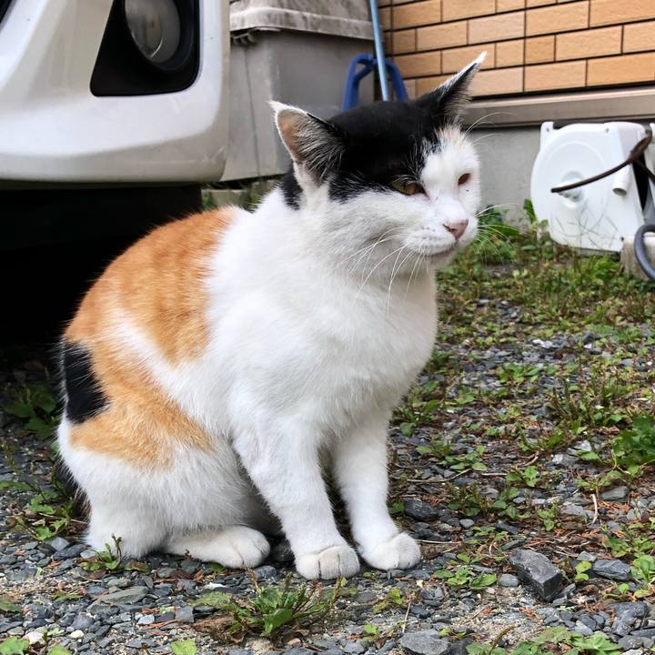 2a018abc 1df4 4bfa b598 3796bc14a6c5 1602455323747